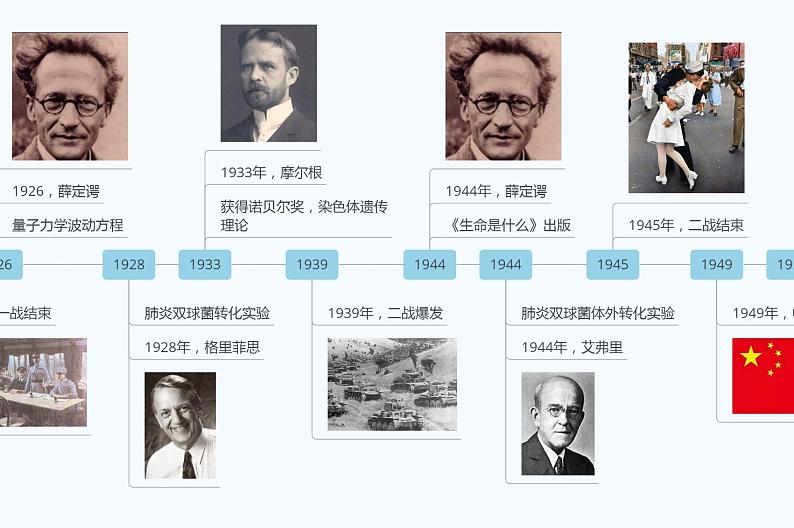 高中生物高考专题24 DNA是主要的遗传物质-2021年高考生物一轮复习知识精讲课件第3页