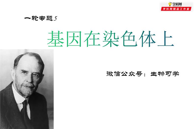 高中生物高考专题22 基因在染色体上-2021年高考生物一轮复习知识精讲课件第1页