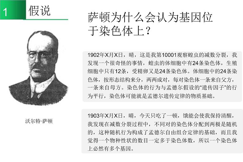 高中生物高考专题22 基因在染色体上-2021年高考生物一轮复习知识精讲课件第2页