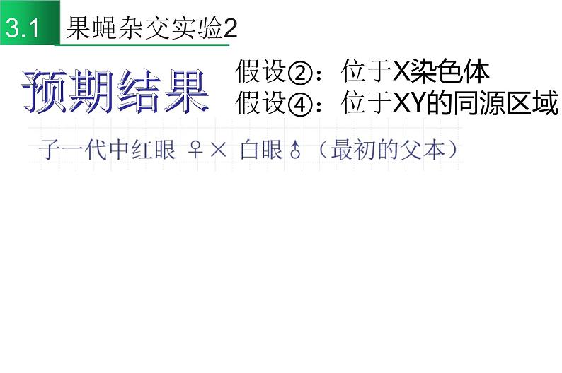 高中生物高考专题22 基因在染色体上-2021年高考生物一轮复习知识精讲课件第7页