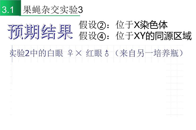 高中生物高考专题22 基因在染色体上-2021年高考生物一轮复习知识精讲课件第8页