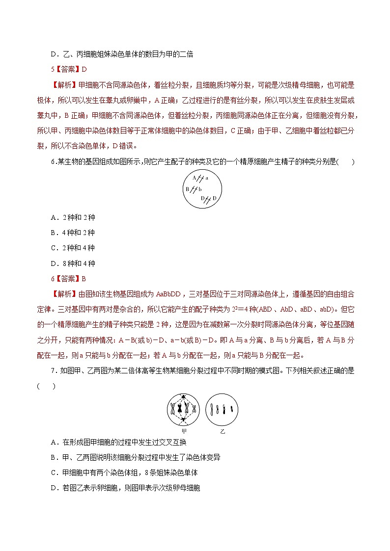 高中生物高考专题4 2 减数分裂和受精作用（必刷试题）-2021年高考生物大一轮复习紧跟教材（解析版）第3页