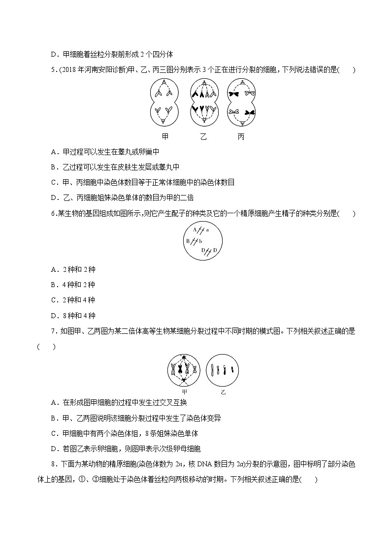 高中生物高考专题4 2 减数分裂和受精作用（必刷试题）-2021年高考生物大一轮复习紧跟教材（原卷版）第2页