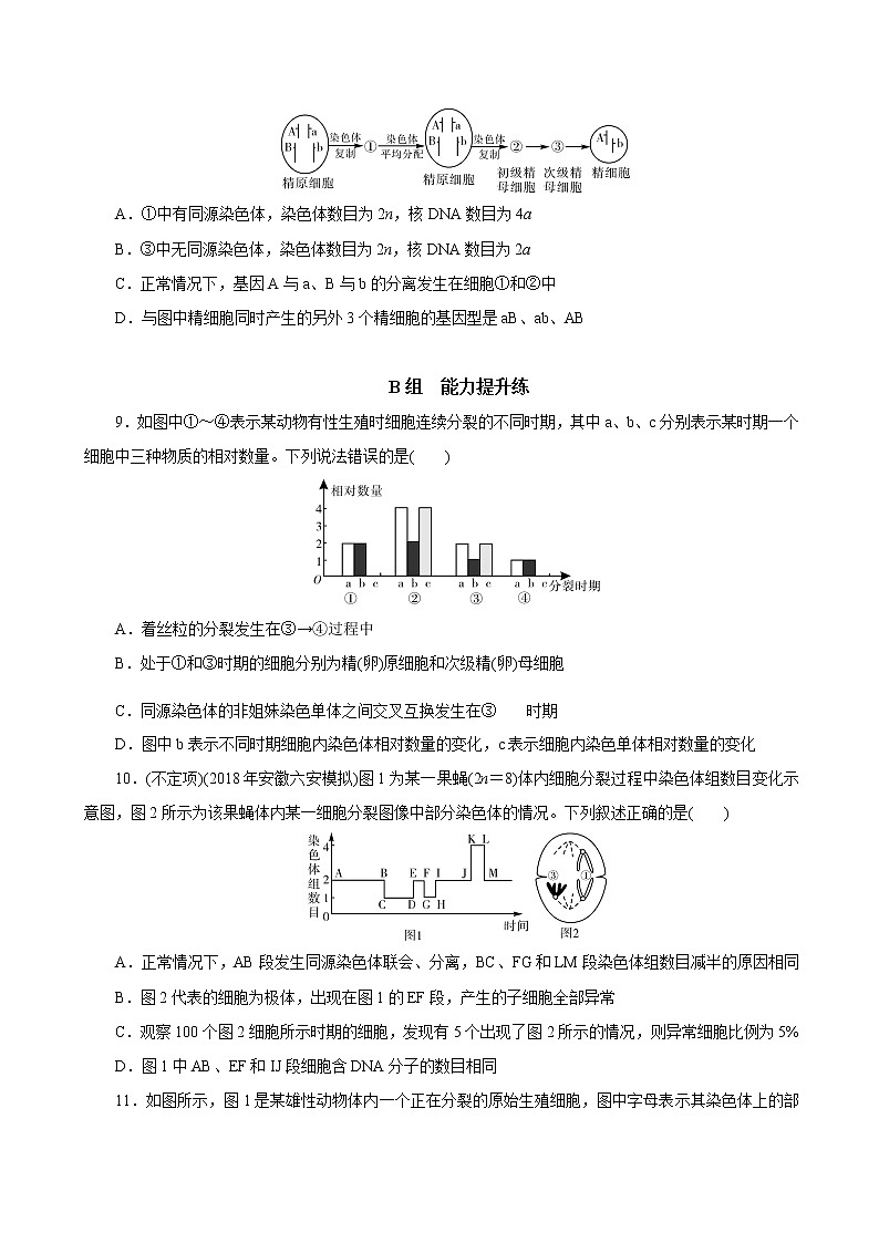 高中生物高考专题4 2 减数分裂和受精作用（必刷试题）-2021年高考生物大一轮复习紧跟教材（原卷版）第3页