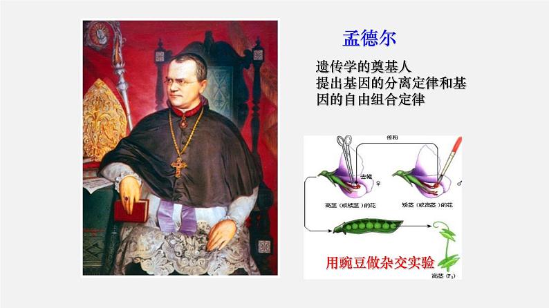 高中生物高考专题08 孟德尔遗传定律-2020年高考备考生物二轮复习课件第2页