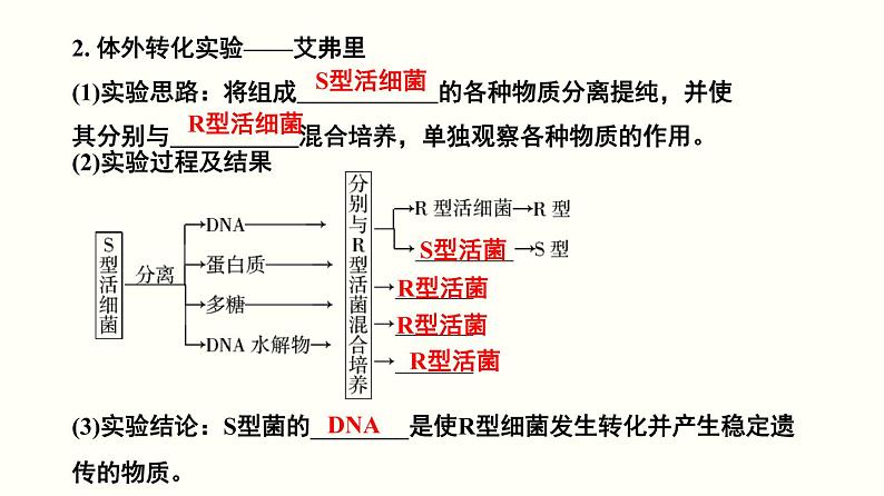 高中生物高考专题11 遗传的分子基础-2020年高考备考生物二轮复习课件第5页