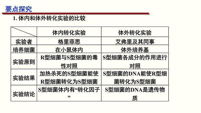 高中生物高考专题11 遗传的分子基础-2020年高考备考生物二轮复习课件第6页