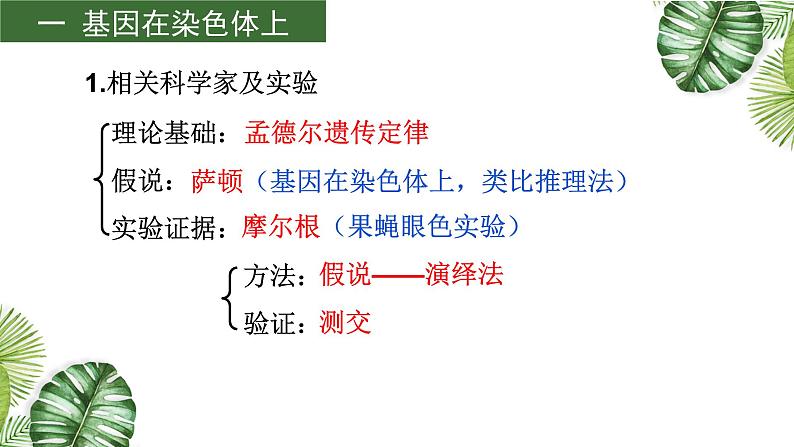 高中生物高考专题08 伴性遗传和人类遗传病-2021年高考备考生物一轮复习课课件PPT第4页