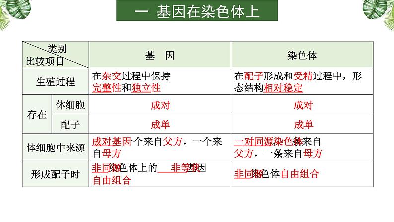 高中生物高考专题08 伴性遗传和人类遗传病-2021年高考备考生物一轮复习课课件PPT第6页