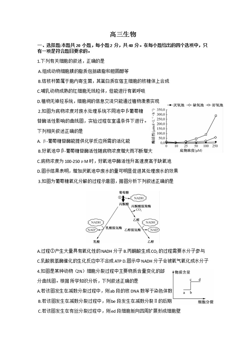 湖北省新高考联考协作体2022-2023学年高三下学期4月月考生物试题 （含答案）01