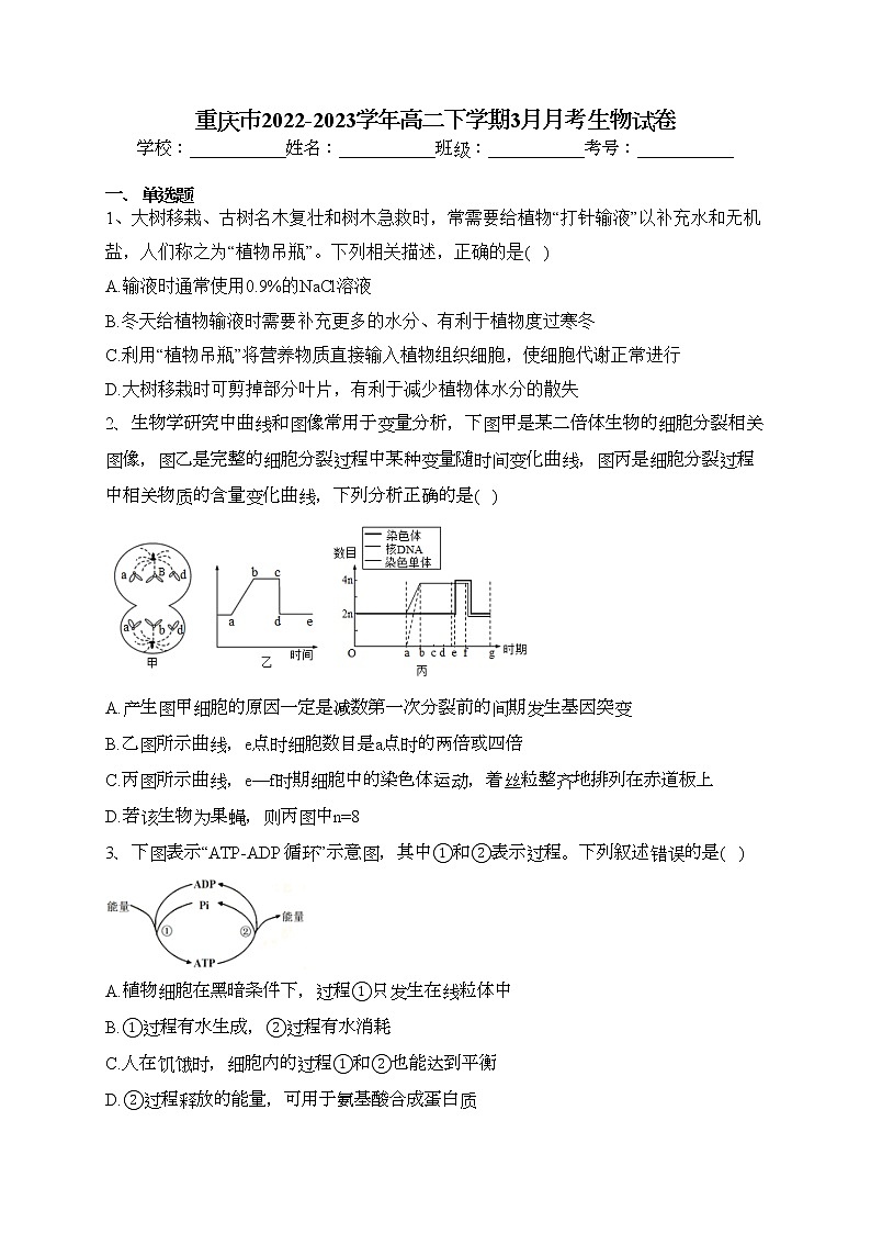 重庆市2022-2023学年高二下学期3月月考生物试卷（含答案）第1页