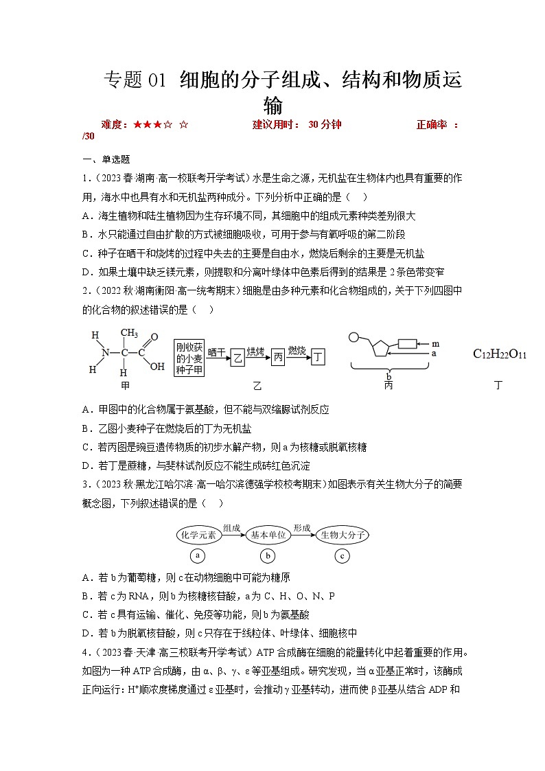 专题卷01 细胞的分子组成、结构和物质运输-【小题小卷】冲刺高考生物小题限时集训（新高考专用）01