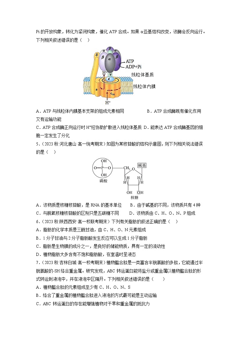 专题卷01 细胞的分子组成、结构和物质运输-【小题小卷】冲刺高考生物小题限时集训（新高考专用）02