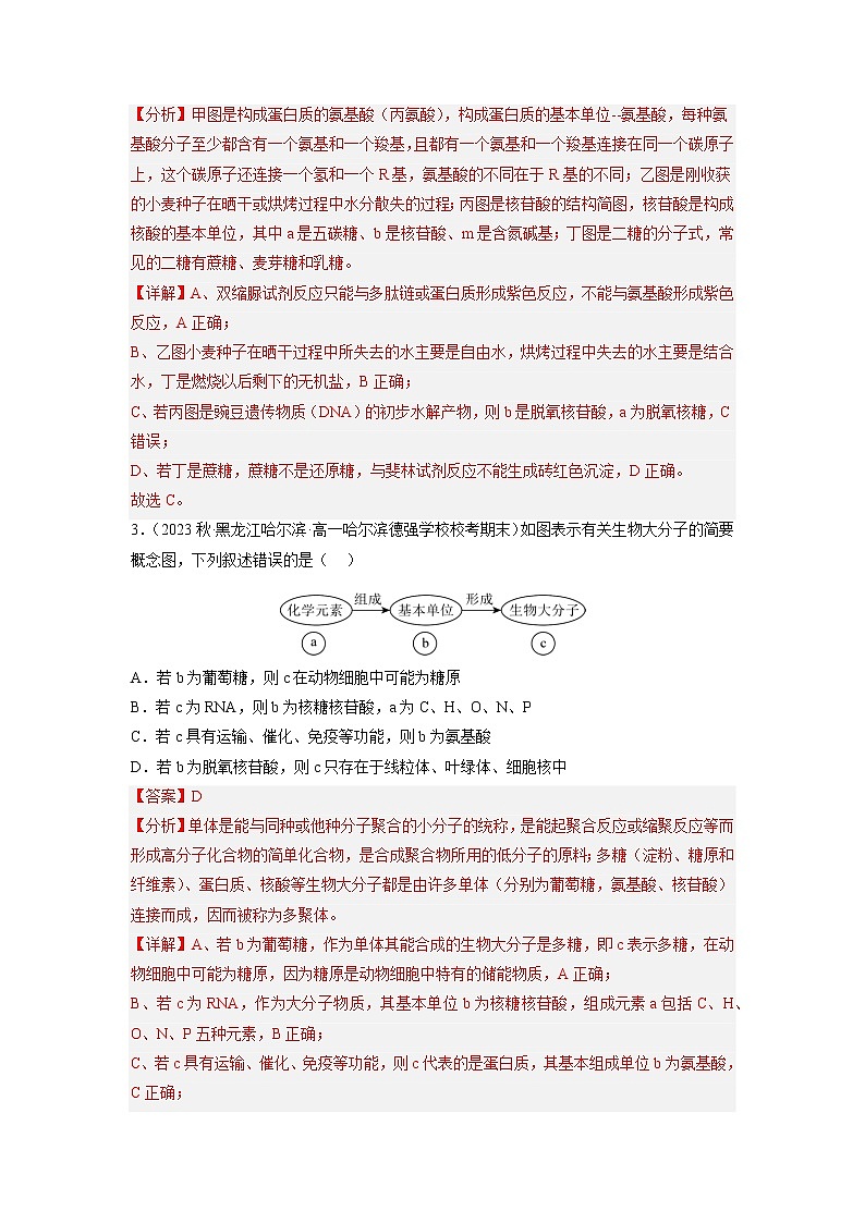 专题卷01 细胞的分子组成、结构和物质运输-【小题小卷】冲刺高考生物小题限时集训（新高考专用）02
