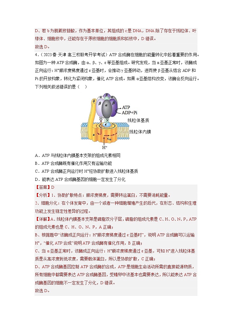 专题卷01 细胞的分子组成、结构和物质运输-【小题小卷】冲刺高考生物小题限时集训（新高考专用）03