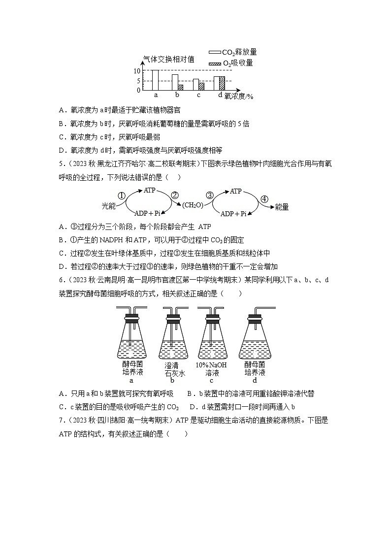 专题卷02 细胞代谢-【小题小卷】冲刺高考生物小题限时集训（新高考专用）02