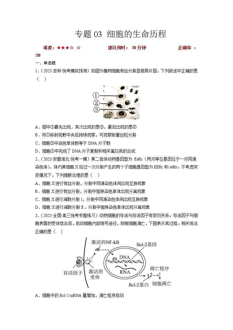 专题卷03 细胞的生命历程-【小题小卷】冲刺高考生物小题限时集训（新高考专用）01