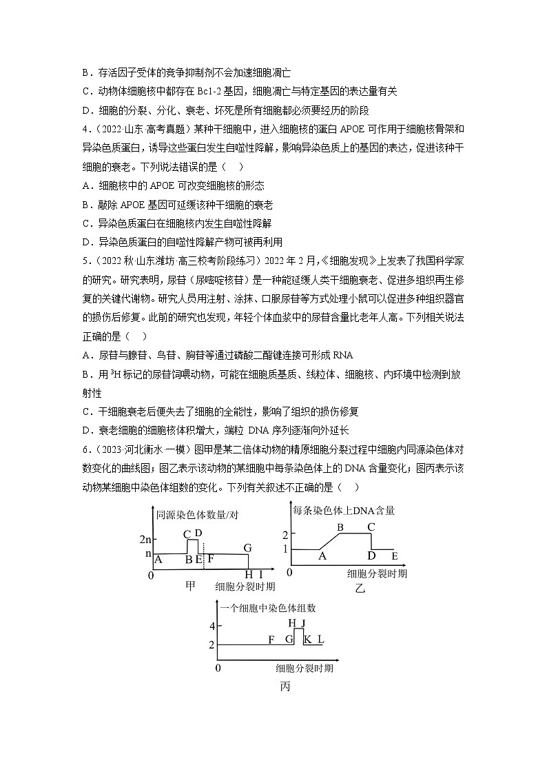 专题卷03 细胞的生命历程-【小题小卷】冲刺高考生物小题限时集训（新高考专用）02