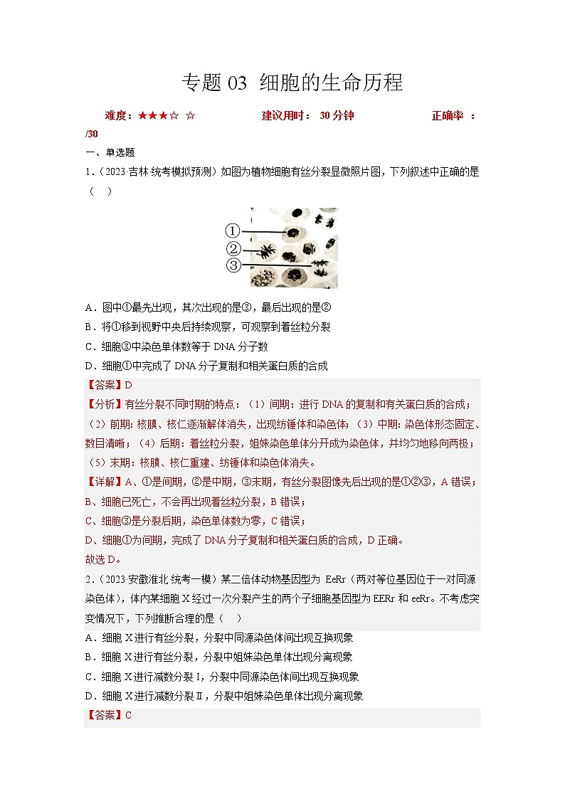 专题卷03 细胞的生命历程-【小题小卷】冲刺高考生物小题限时集训（新高考专用）01