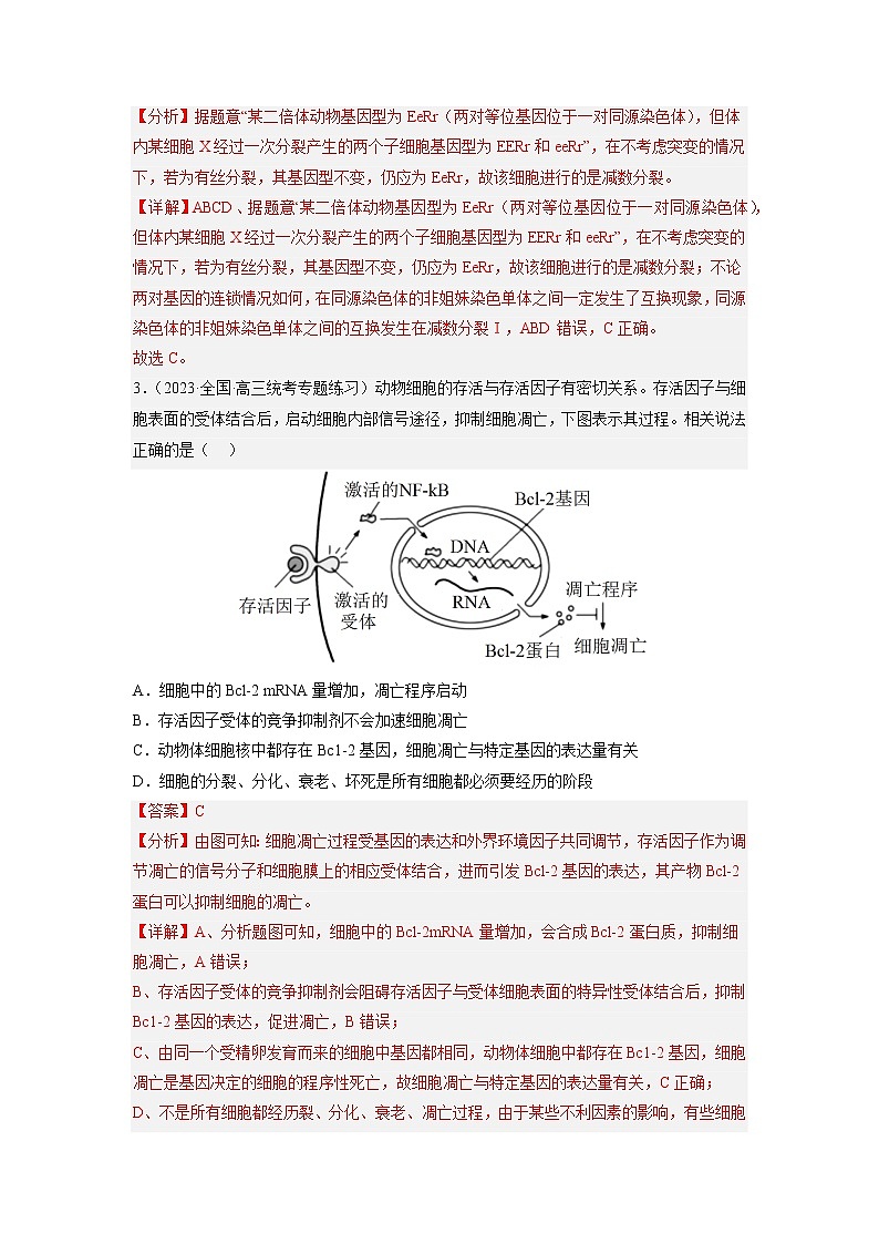 专题卷03 细胞的生命历程-【小题小卷】冲刺高考生物小题限时集训（新高考专用）02