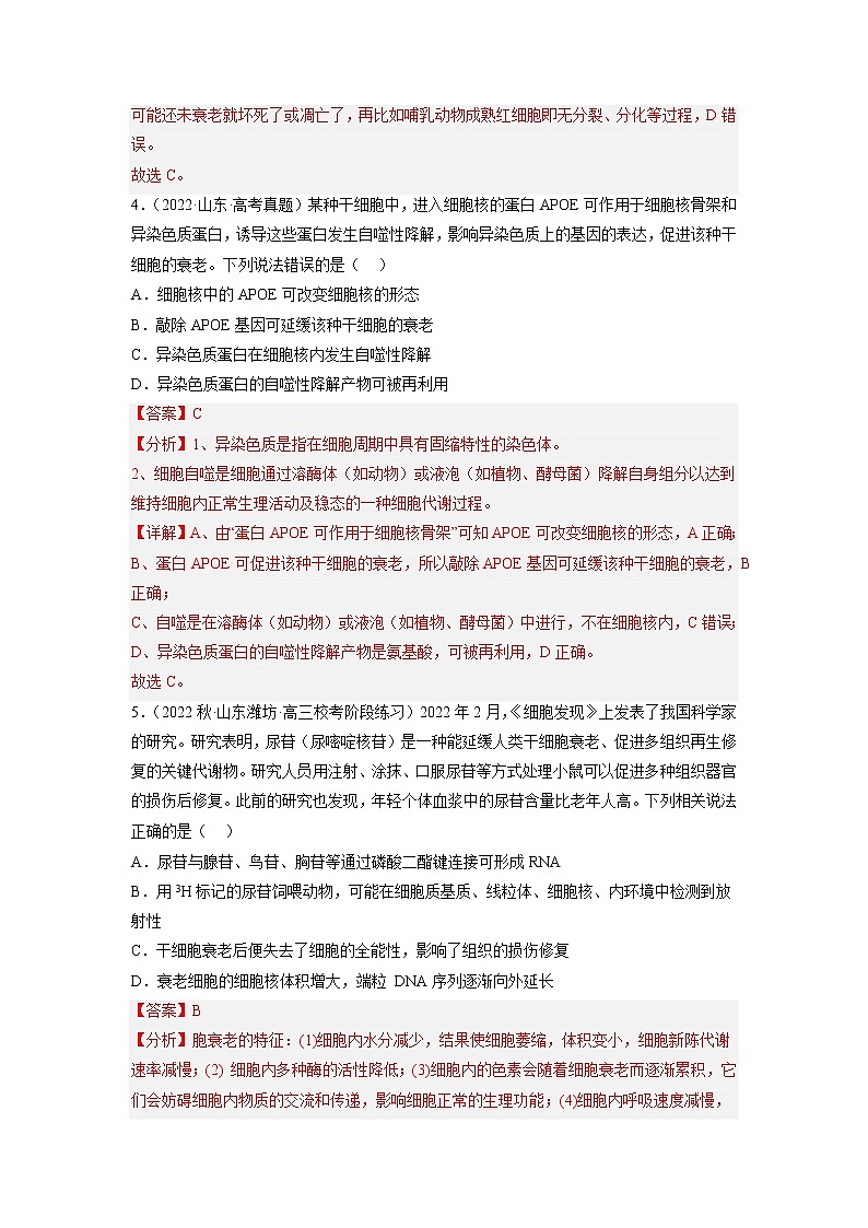 专题卷03 细胞的生命历程-【小题小卷】冲刺高考生物小题限时集训（新高考专用）03