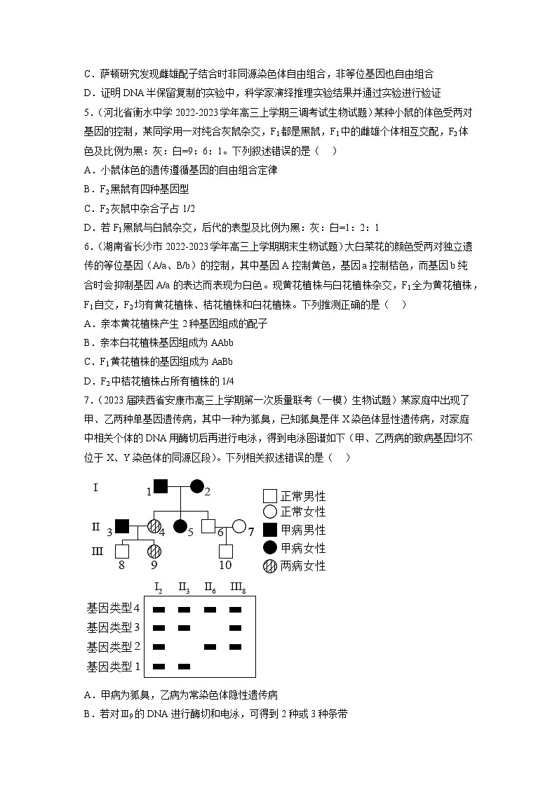 专题卷04 遗传规律-【小题小卷】冲刺高考生物小题限时集训（新高考专用）02