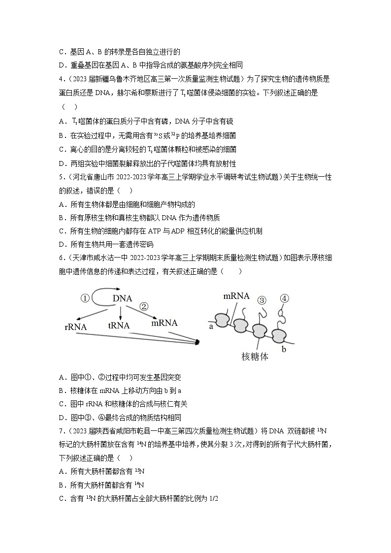 专题卷05 遗传的分子基础-【小题小卷】冲刺高考生物小题限时集训（新高考专用）02