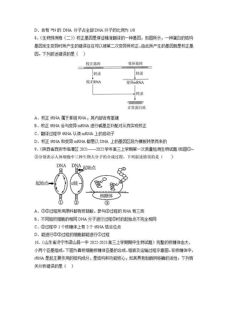 专题卷05 遗传的分子基础-【小题小卷】冲刺高考生物小题限时集训（新高考专用）03