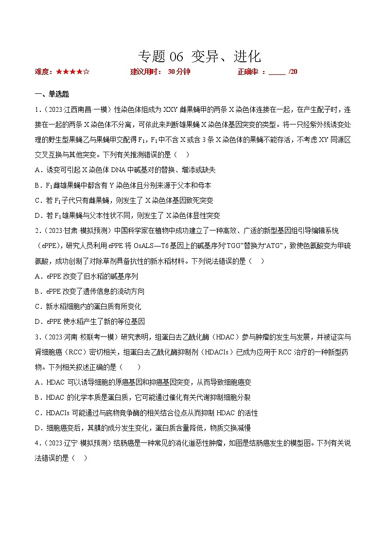 专题卷06 变异、进化-【小题小卷】冲刺高考生物小题限时集训（新高考专用）01
