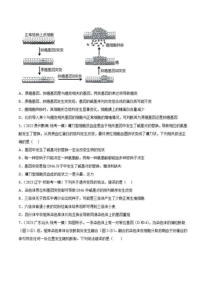专题卷06 变异、进化-【小题小卷】冲刺高考生物小题限时集训（新高考专用）02