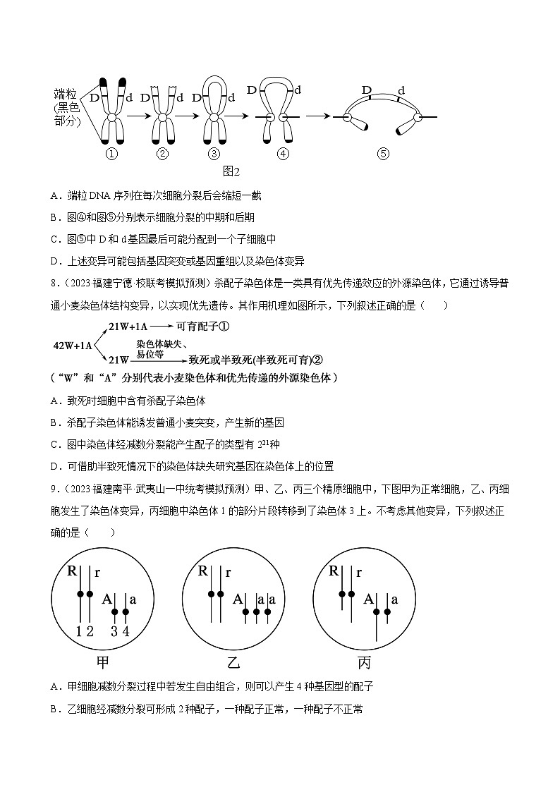 专题卷06 变异、进化-【小题小卷】冲刺高考生物小题限时集训（新高考专用）03