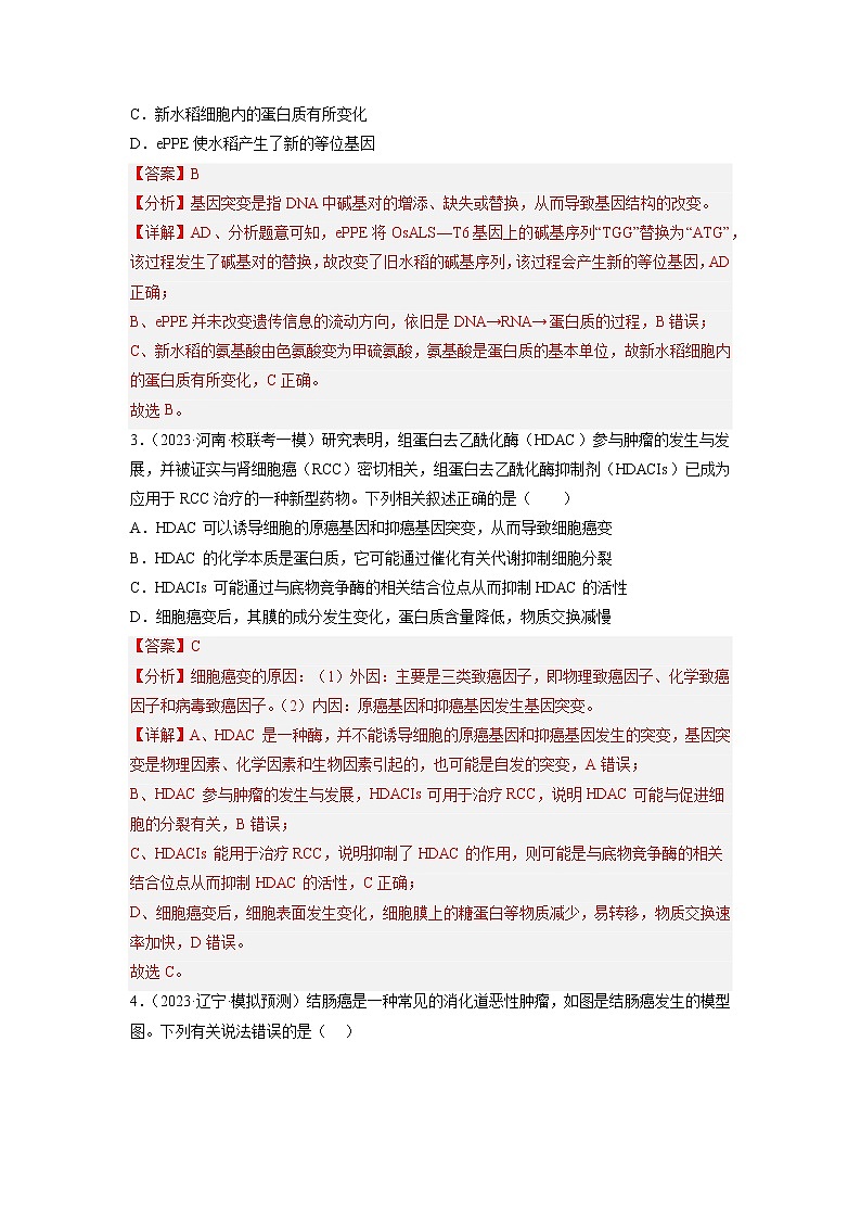 专题卷06 变异、进化-【小题小卷】冲刺高考生物小题限时集训（新高考专用）02