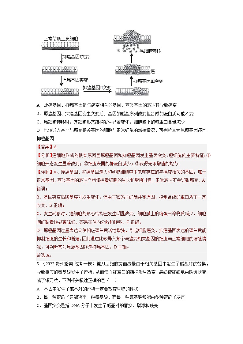 专题卷06 变异、进化-【小题小卷】冲刺高考生物小题限时集训（新高考专用）03