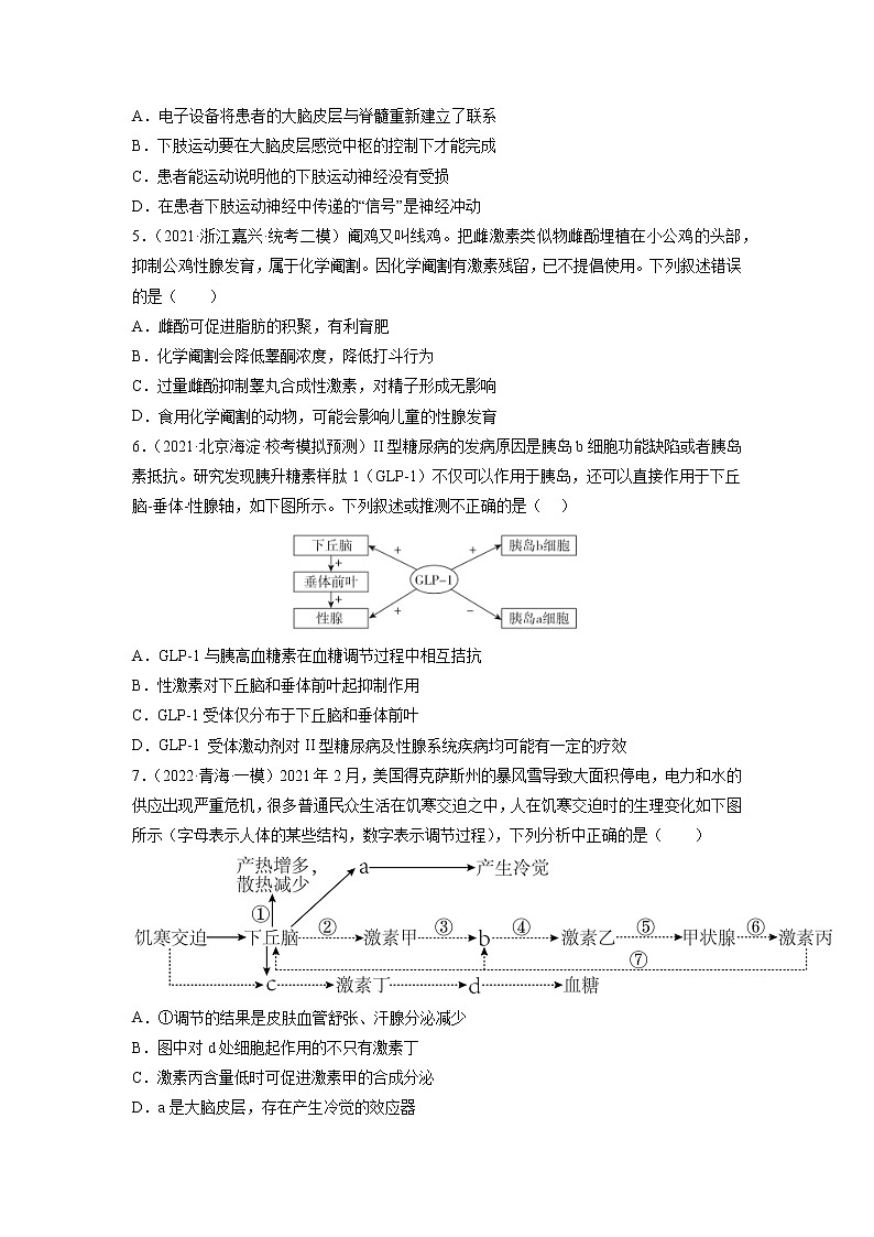 专题卷07 动物生命活动调节-【小题小卷】冲刺高考生物小题限时集训（新高考专用）02