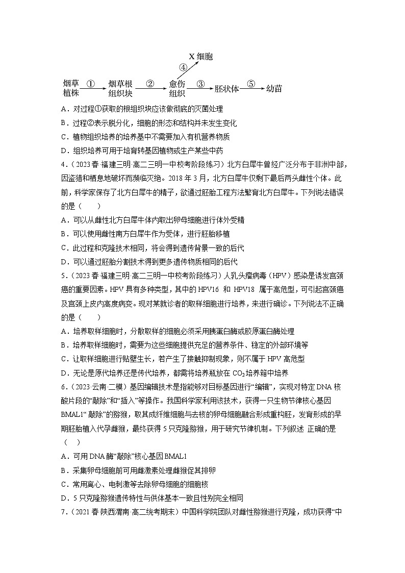 专题卷12 细胞工程和胚胎工程-【小题小卷】冲刺高考生物小题限时集训（新高考专用）02
