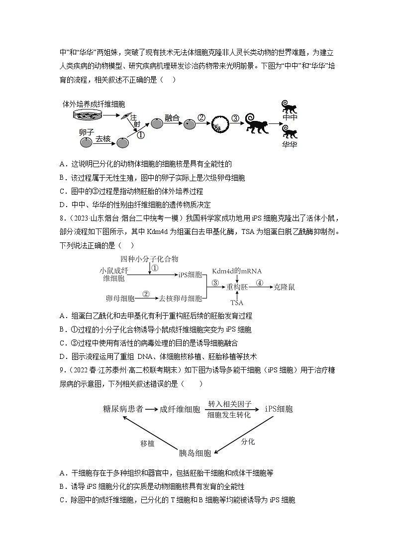 专题卷12 细胞工程和胚胎工程-【小题小卷】冲刺高考生物小题限时集训（新高考专用）03