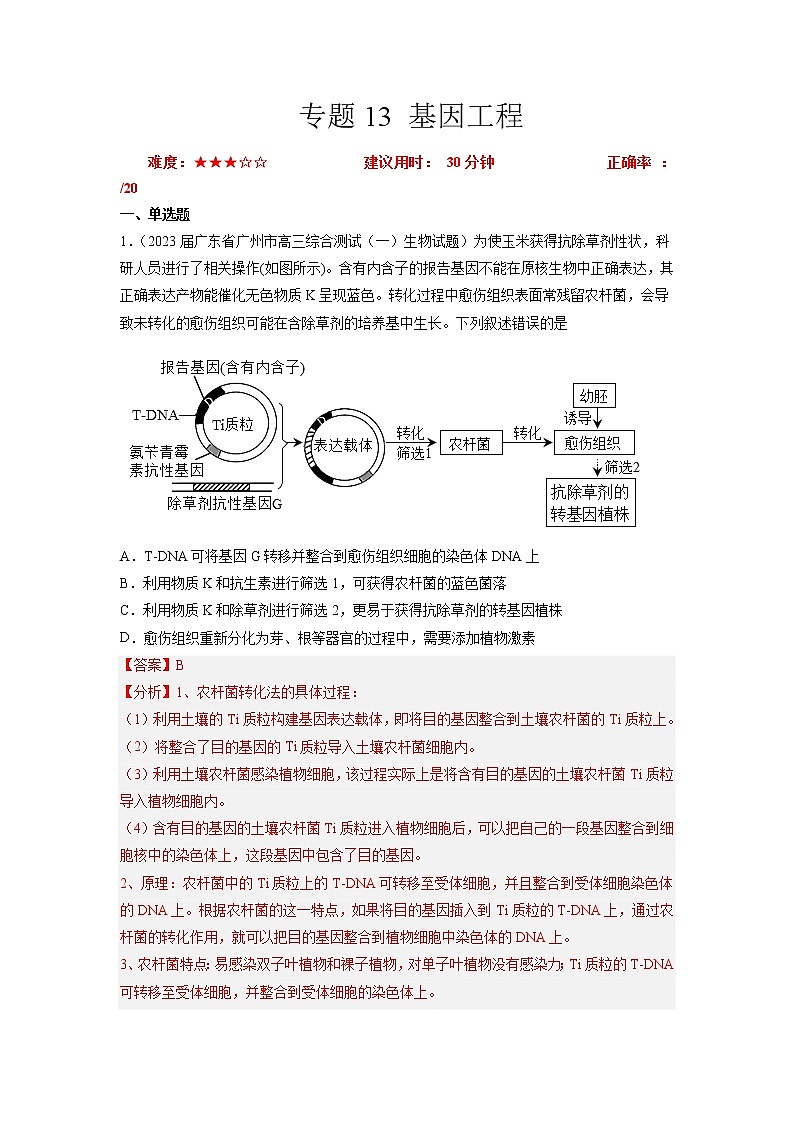 专题卷13 基因工程 -【小题小卷】冲刺高考生物小题限时集训（新高考专用）01