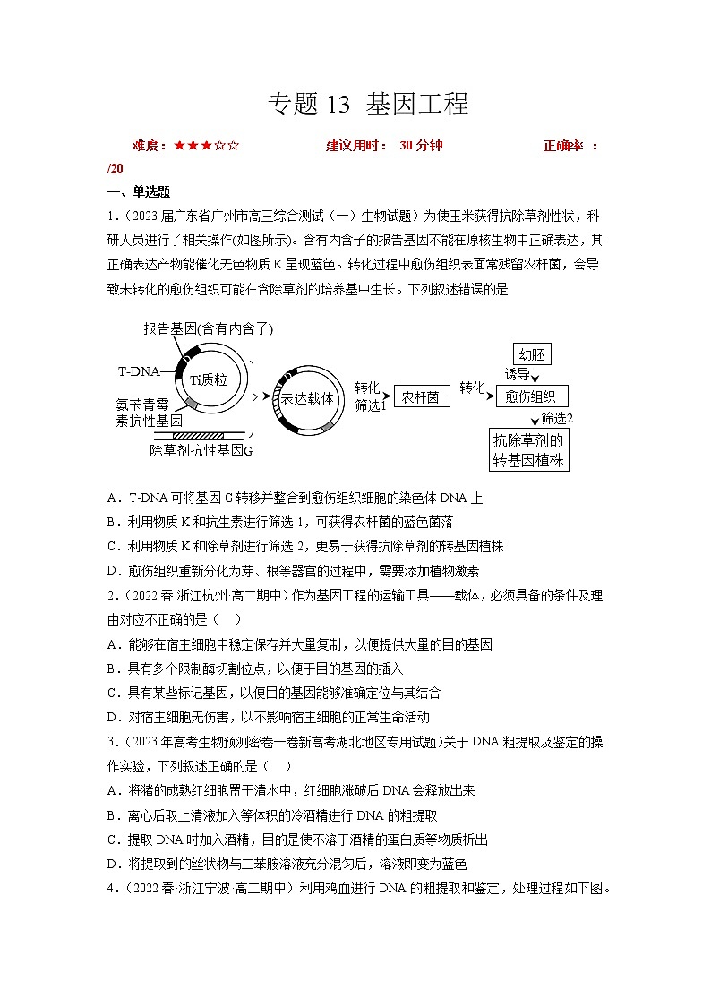 专题卷13 基因工程 -【小题小卷】冲刺高考生物小题限时集训（新高考专用）01