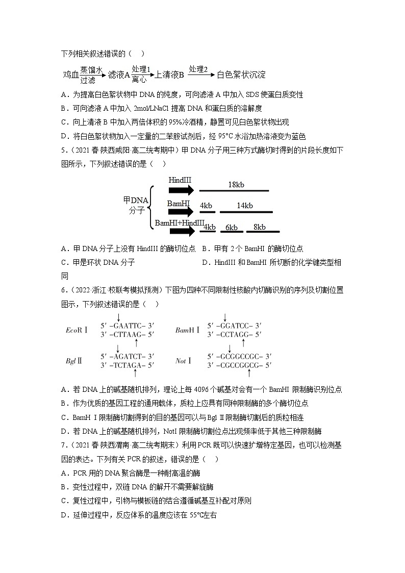 专题卷13 基因工程 -【小题小卷】冲刺高考生物小题限时集训（新高考专用）02