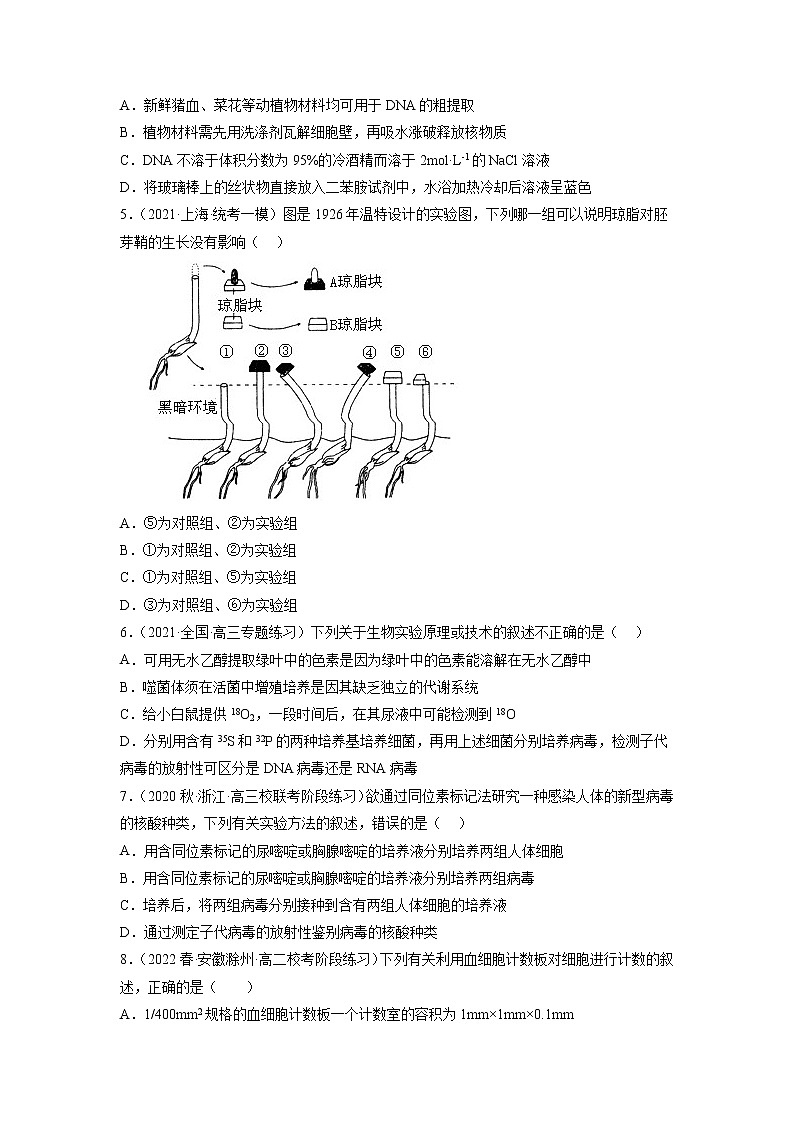 专题卷14 实验探究 -【小题小卷】冲刺高考生物小题限时集训（新高考专用）02