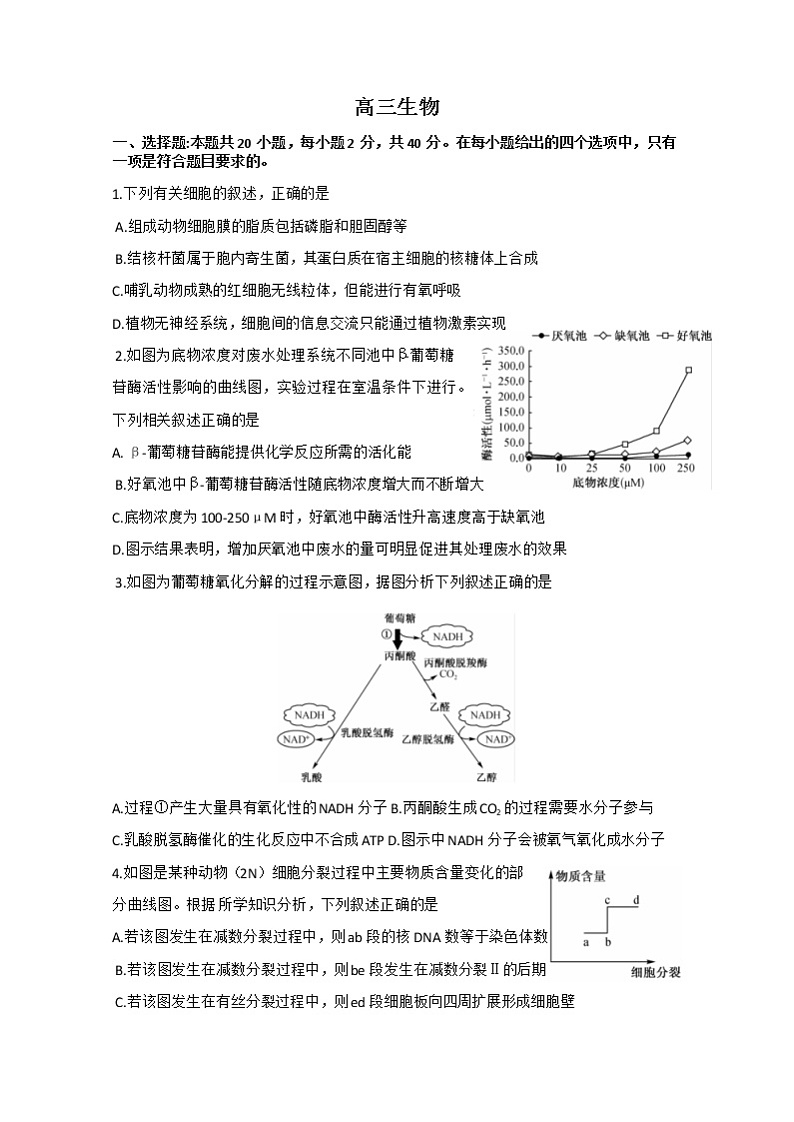2023湖北省新高考联考协作体高三下学期4月月考生物试题含答案01