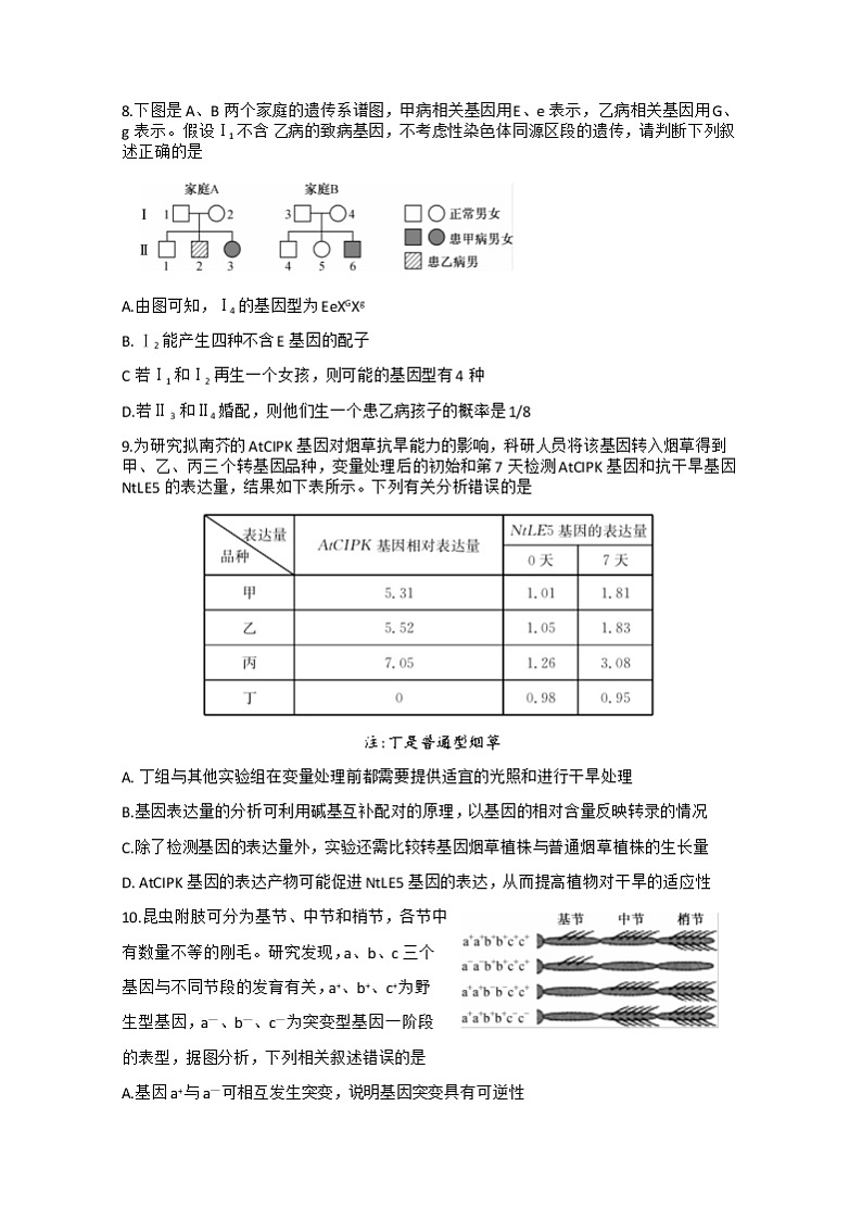 2023湖北省新高考联考协作体高三下学期4月月考生物试题含答案03
