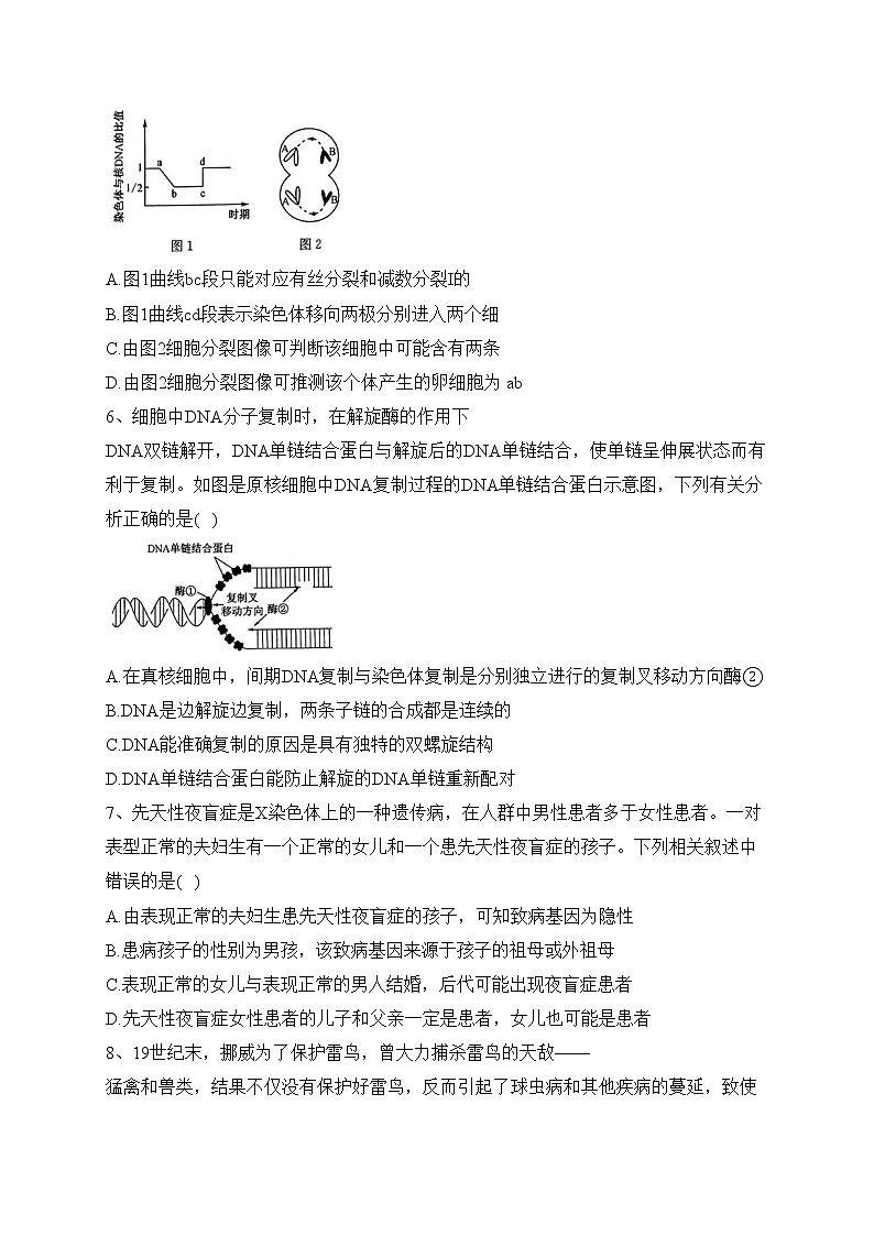 河北省2023届高三下学期4月大联考（二模）生物试卷（含答案）02