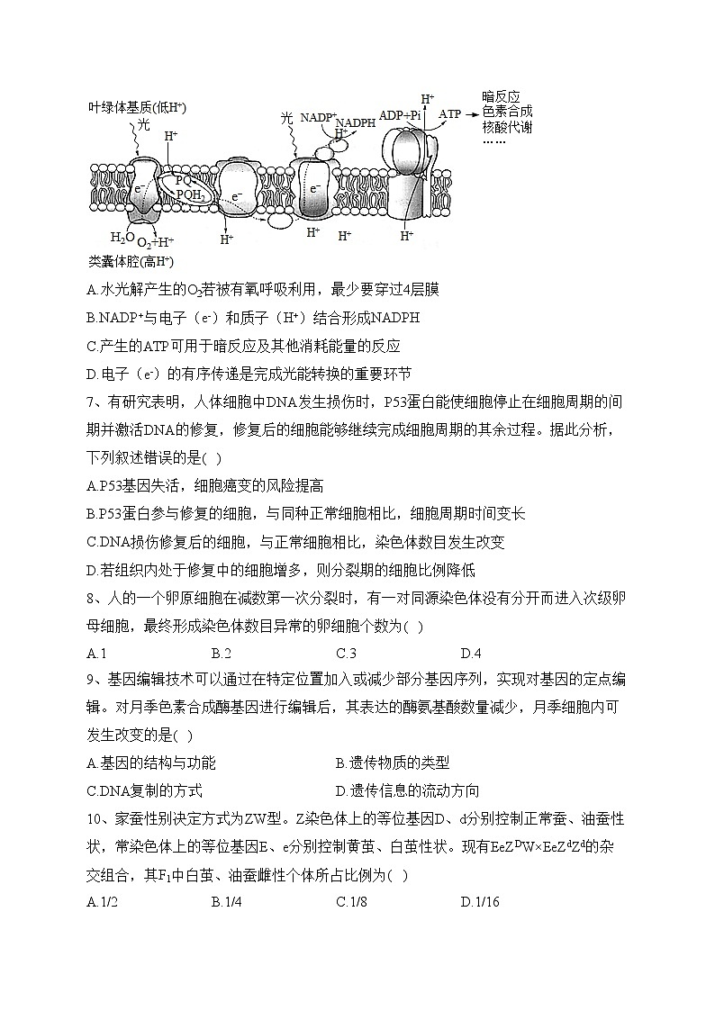 重庆市2021年普通高中学业水平选择性考试生物试卷 重庆卷（含答案）第2页