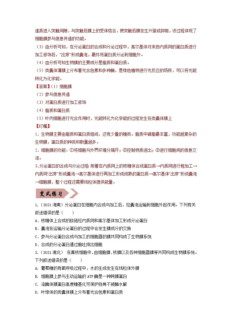易错点02 细胞的结构和功能（学生版）第3页