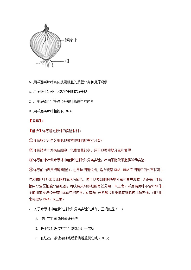 易错点04  细胞的代谢2（呼吸作用与光合作用）（教师版）第3页