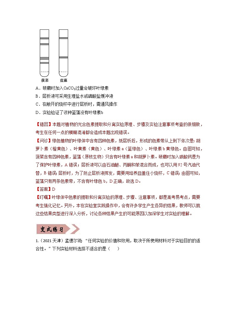 易错点04  细胞的代谢2（呼吸作用与光合作用）（学生版）第2页