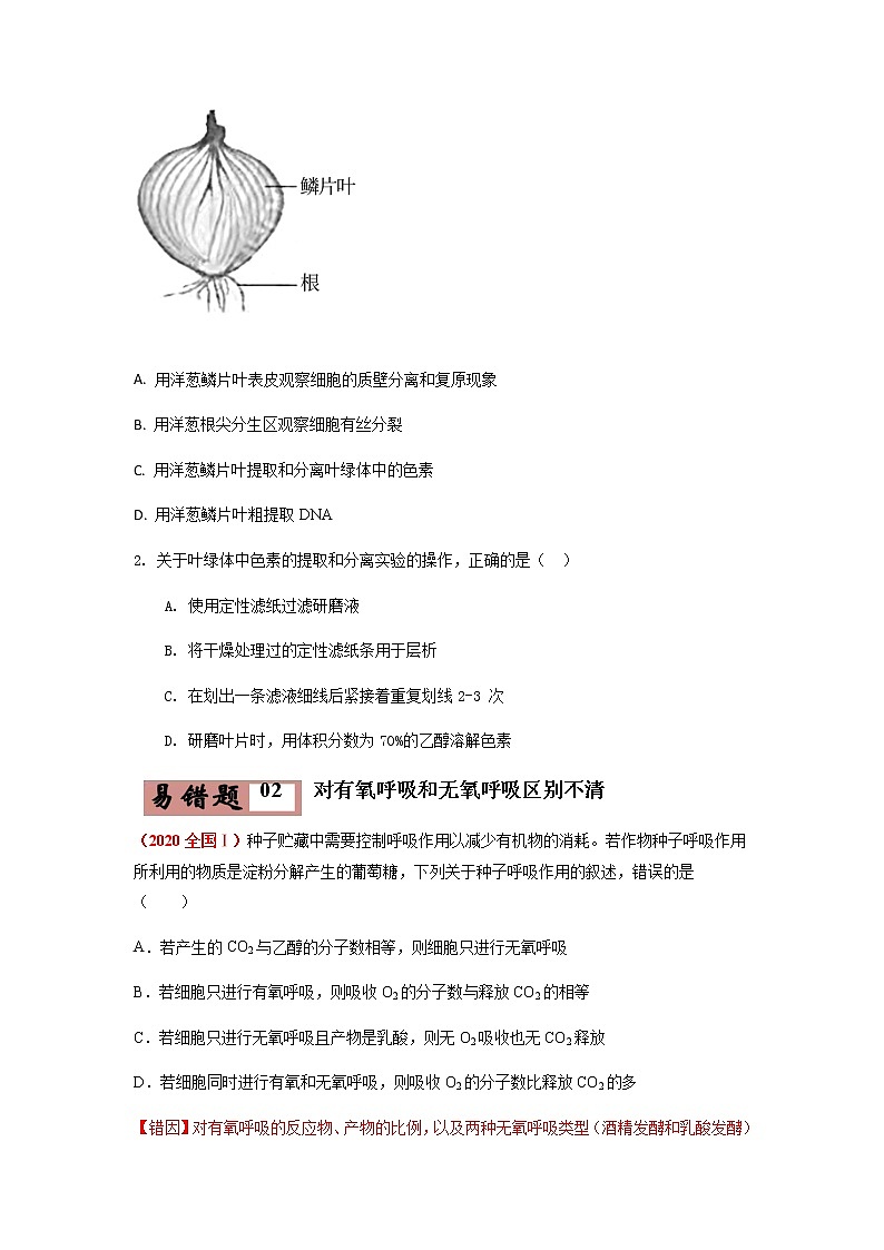 易错点04  细胞的代谢2（呼吸作用与光合作用）（学生版）第3页