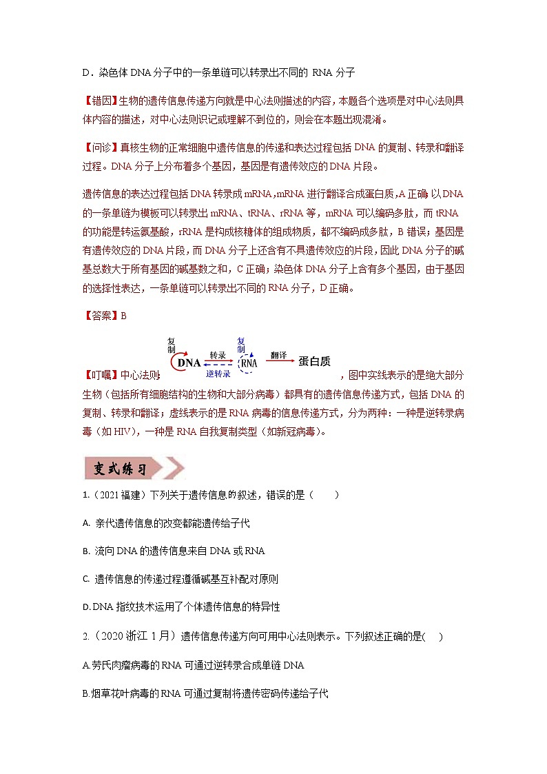 易错点07  遗传的分子基础（学生版）第2页