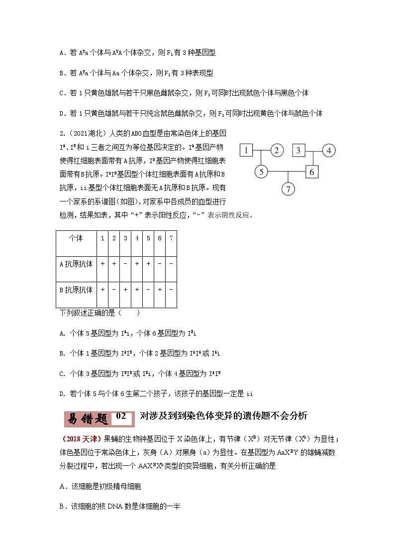 易错点08  遗传的基本规律（学生版）第3页